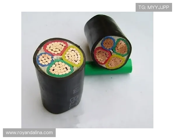 AG体育运动首页用户注册流程详解及新手快速上手指南